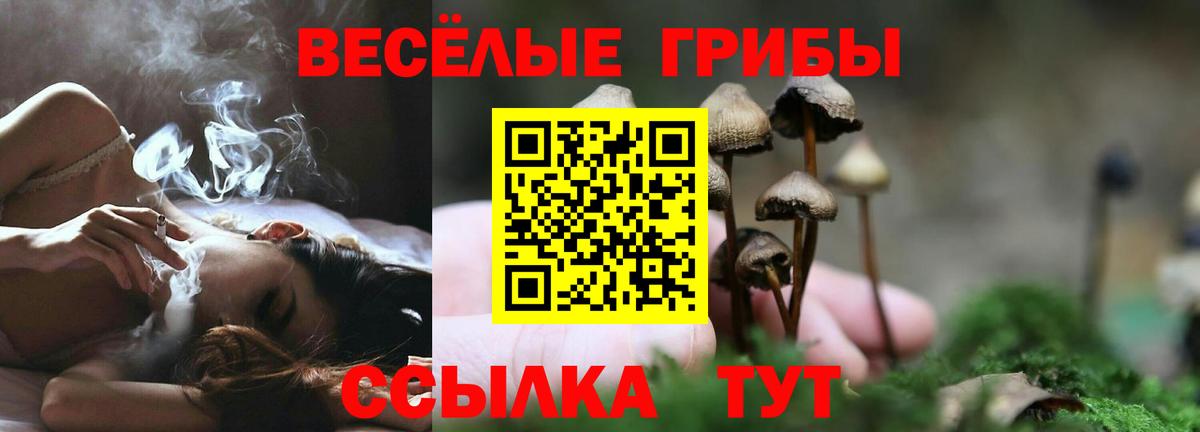Обь  Галлюциногенные грибы MAGIC MUSHROOMS  закладка  Вход с VPN 